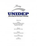 Mercadotecnia Internacional. Exportación del Chiltepín