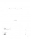 Conceptos Generales de Estructura Organizacional
