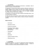 HALOPERIDOL El haloperidol es un fármaco antipsicótico