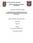 Determinación del peso molecular de una proteína usando cromatografía por exclusión molecular