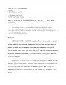 APELACION SENTENCIA DEFINITIVA REIVINDICATORIO