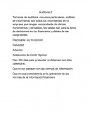 Técnicas de auditoria: recursos particulares, análisis de movimiento son todos los movimientos en la empresa