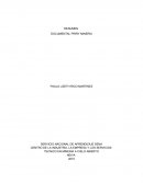 RESUMEN DOCUMENTAL PIRRY MINERIA