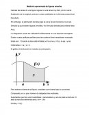 Medición aproximada de figuras amorfas