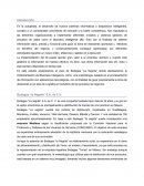 Implementación de TI Bodegas “la Negrita” S.A. de C.V.