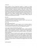 ¿Qué es gastronomía molecular?