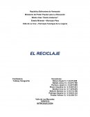 Proyecto Reciclaje.