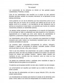 La Química y la cocina “De compras”