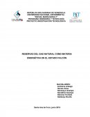 RESERVAS DEL GAS NATURAL  