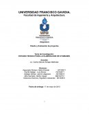 ESTUDIO TECNICO PARA LA ELABORACION DE OTOMANES