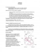 Resumen fisiologia Capitulo pulmonar, cardiaco y renal