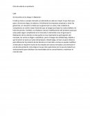 Ciclo de vida de un producto Café