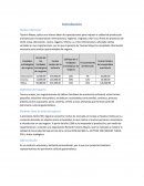 Caso de estusio: Tesoros Mayas