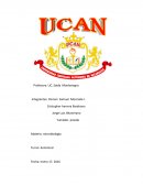 MEDIOS DE CULTIVOS EN MICROBIOLOGIA