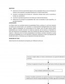 Los fluidos tienen una cantidad extensa de propiedades físicas y químicas
