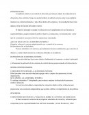 ¿Que se hace en una auditoria interna?