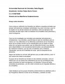 Historia de los Mamíferos Sudamericanos.