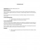 Actividad de clase Organización: Industrias Torrico Antelo “ITA”