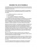 Documental the life of mammals reseña