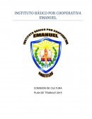 Comisión de cultura. Plan de trabajo