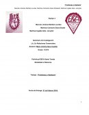 Seminario de Investigación. “Problemas e Hipótesis”