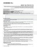 BRIEF DE PROYECTO