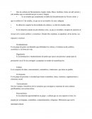 Que las culturas de Mesopotamia, Egipto, India, Maya; Garífuna, Xinca son del sureste y este asiático que se caracterizan por su raza y lengua