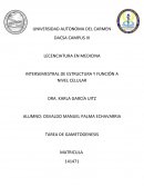 DESARROLLO EMBRIONARIO OBSERVA Y ANALIZA ESTA IMAGEN Y A CONTINUACIÓN CONTESTA LAS SIGUIENTES PREGUNTAS