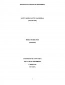 PROCESO DE ATENCION DE ENFERMERIA SITUACION DE ENFERMERIA