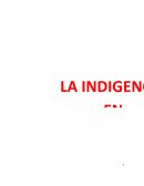 INDIGENCIA EN HERMOSILLO