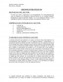 GRUPOS ESTRATÉGICOS DEFINICION DEL SECTOR