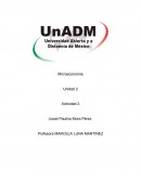 Microeconomía Unidad 2 Actividad 2