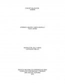 CONCEPTUALIZACION NOMINA