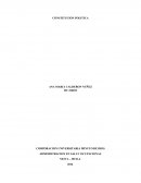 Contitucion politica.