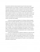 Conducta social primate y humana