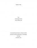 PROPUESTA DE ACCION PSICOSOCIAL