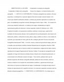 Historia de la cartografia . Comprender el objeto de la cartografía