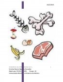 LA BASURA ORGANICA TAMBIÉN CONTAMINA