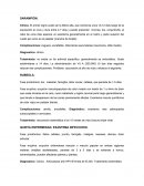 SARAMPIÓN.RUBEOLA.QUINTA ENFERMEDAD. EXANTEMA INFECCIOSO