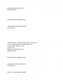 PRACTICA PROFESIONAL INFORME FINAL DIAGNOSTICO EMPRESARIAL