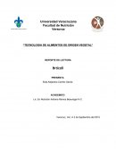 Propiedades del Brocoli