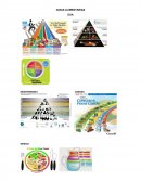 GUÍAS ALIMENTARIAS.