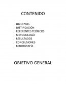 PROYECTO DE SALUD OCUPACIONAL , ASOCIACIÓN DE LADRILLEROS