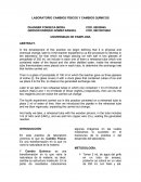 LABORATORIO CAMBIOS FÍSICOS Y CAMBIOS QUÍMICOS