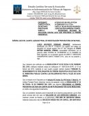 APELACIÓN CONTRA AUTO QUE PROLONGA LA PRISIÓN PREVENTIVA