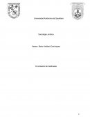 Marihuana. El consumo de marihuana