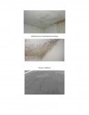 Problematica metodologia de investigacion