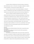 Los primeros intentos de clasificación de los insectos