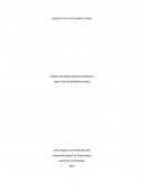 ENSAYO DE POLITICA AGROPECUARIA.