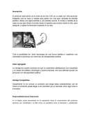 La Responsabilidad Social Empresarial. Ensayo